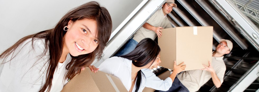 Professional Removalists Kewell